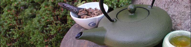 teapot and dandelion root